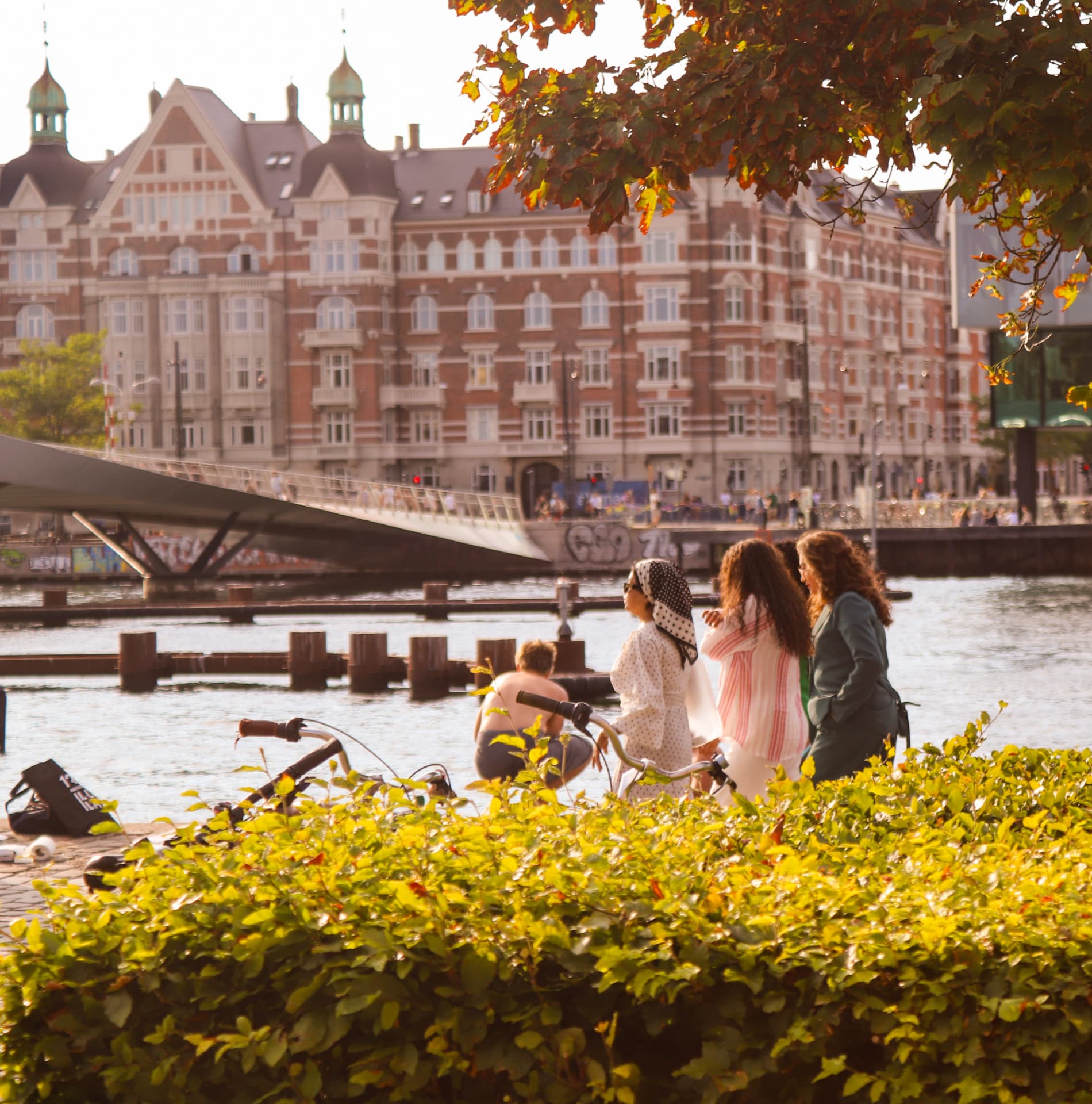 People beside Copenhagen harbour in golden-hour light